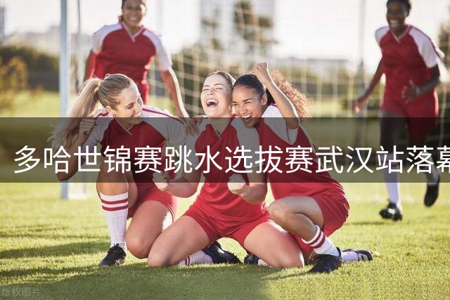 多哈世锦赛跳水选拔赛武汉站落幕 中国队包揽双人项目四金