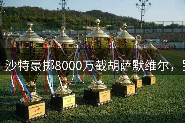 沙特豪掷8000万截胡萨默维尔，罗马引援计划再遭重创
