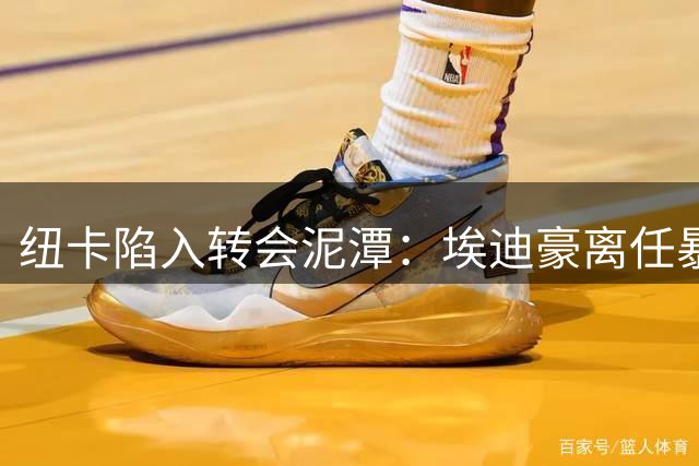 纽卡陷入转会泥潭：埃迪豪离任暴露俱乐部深层危机